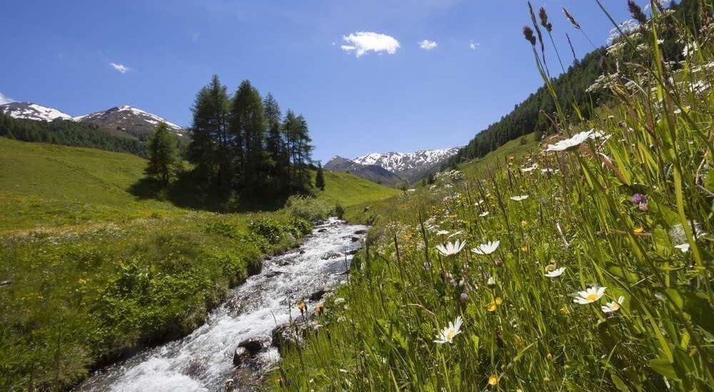 Südtirol, Vinschgau, Sommer 2014, Rojental, Rojen,