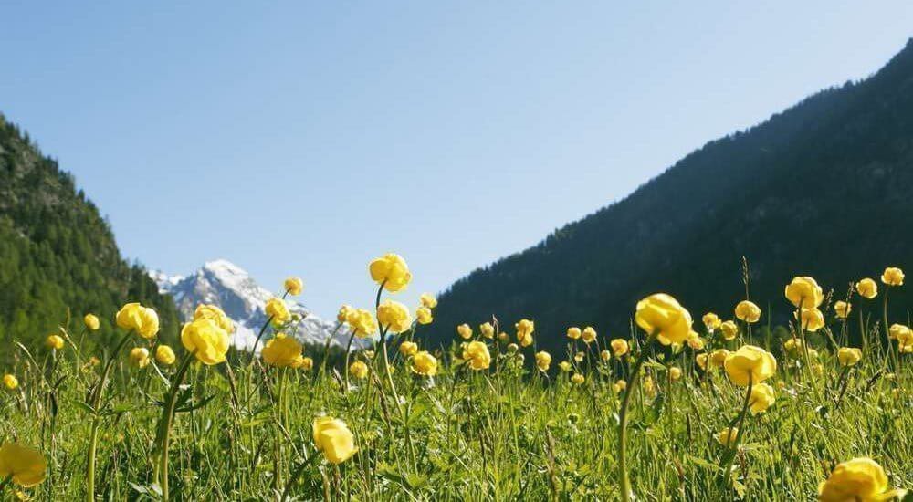 Suedtirol, Vinschgau, Martelltal, Fruehling,